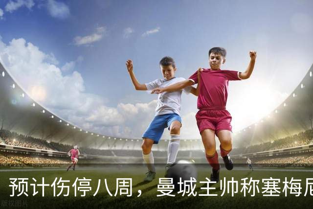 预计伤停八周，曼城主帅称塞梅尼奥复出将像新援